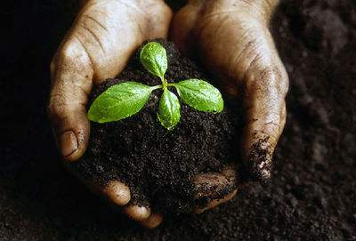 农用地土壤环境调查与修复——土壤污染治理与修复项目申请